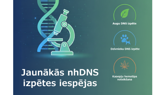 nhDNS baneris