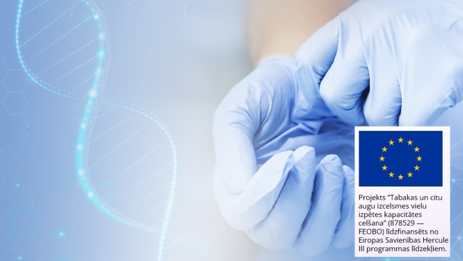 dns spirāle un rokas cimdos