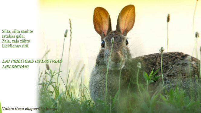 Lieldienu apsveikums