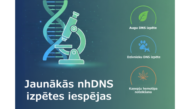 nhDNS baneris