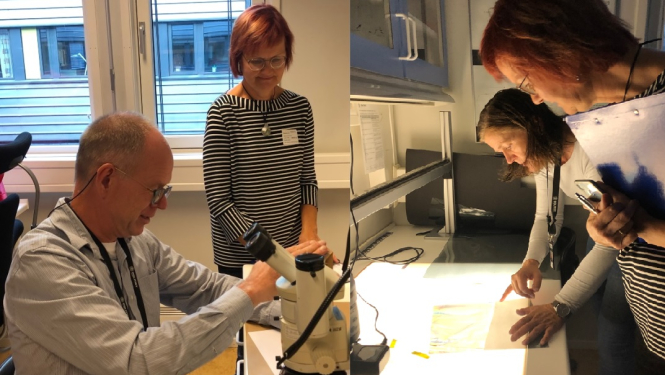 eksperti pie mikroskopa