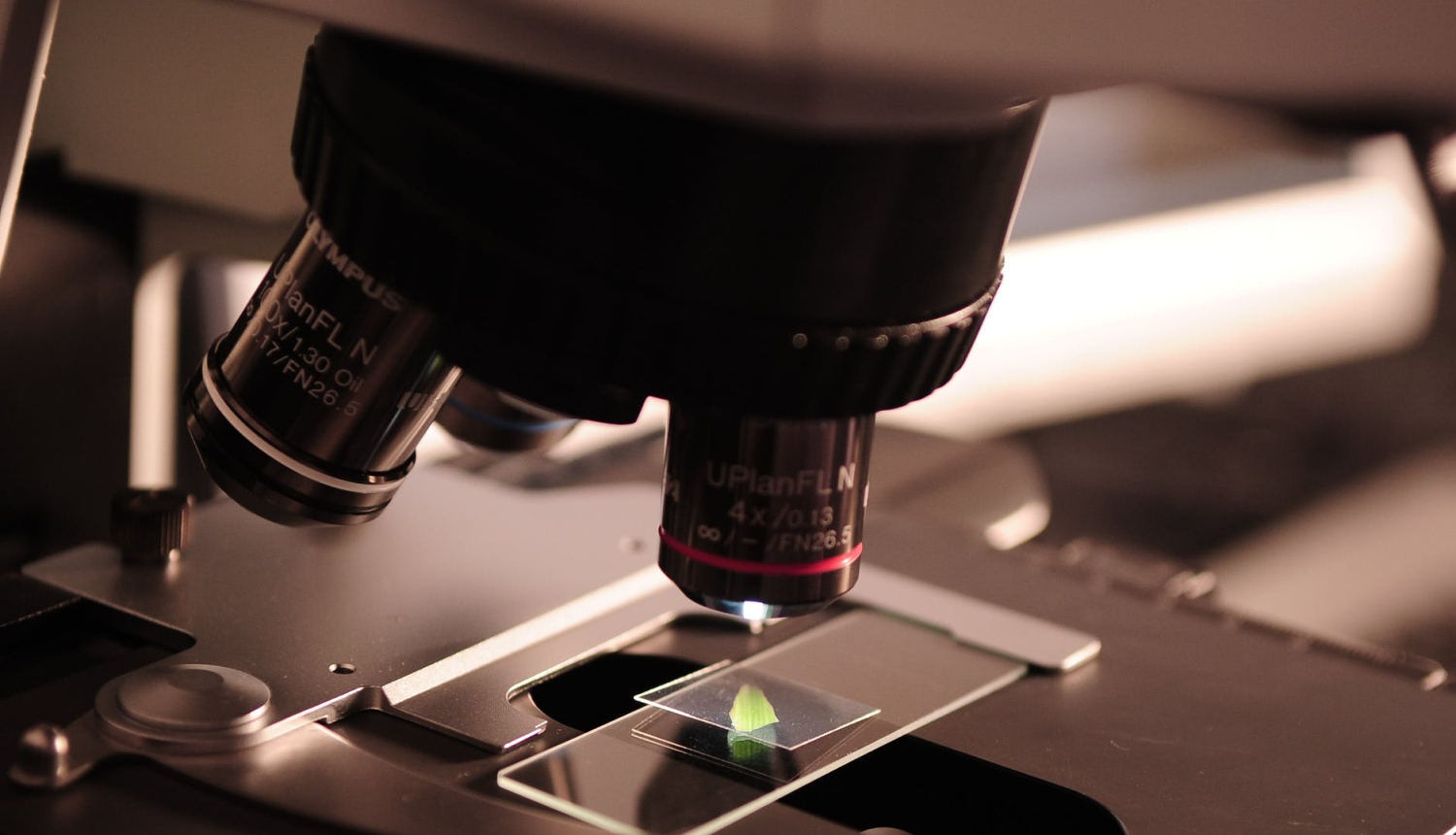 mikroskops