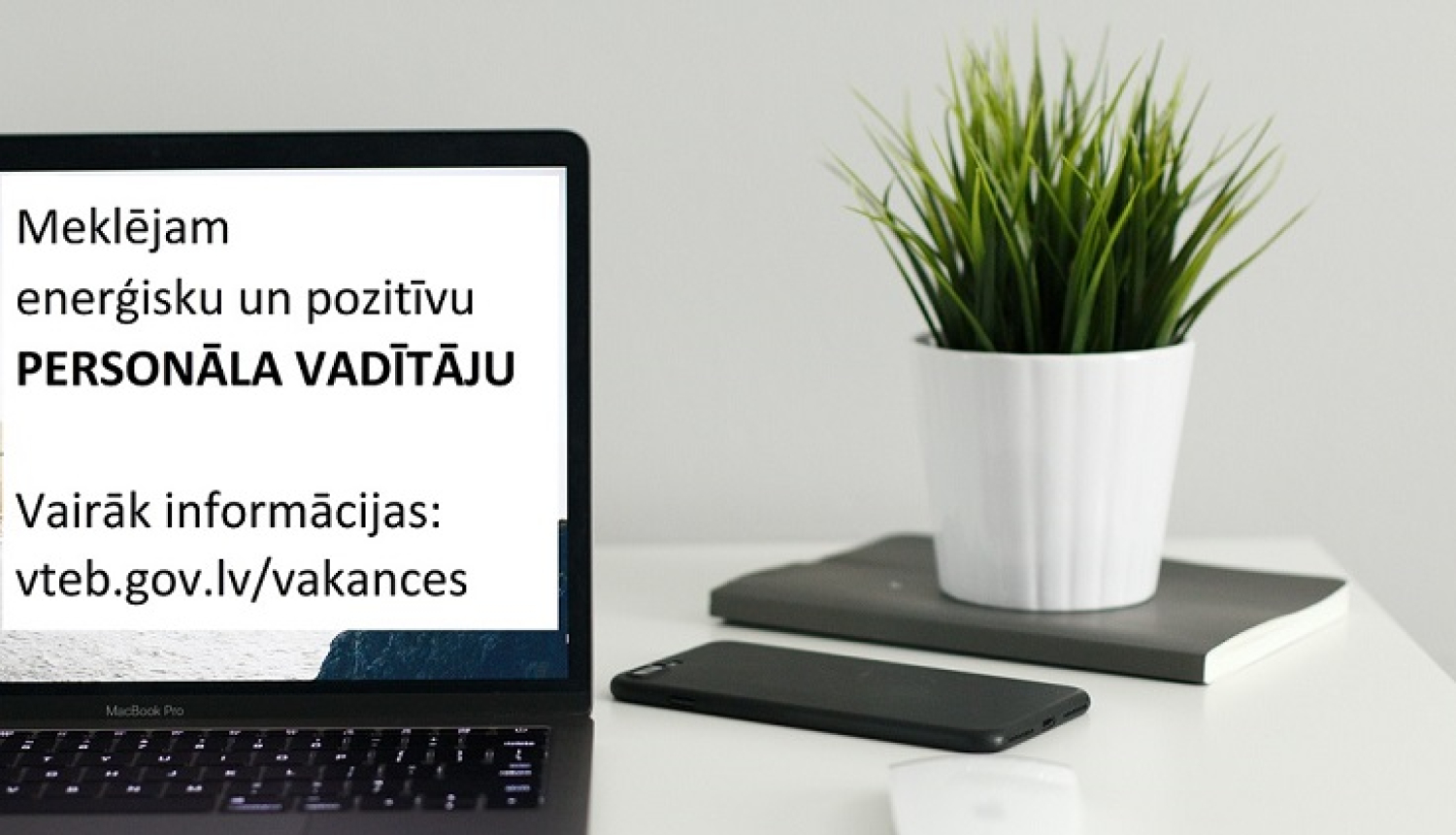 bilde ar datoru un augu